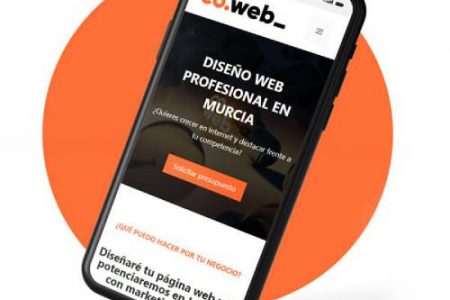 coweb-diseno-web-murcia-2